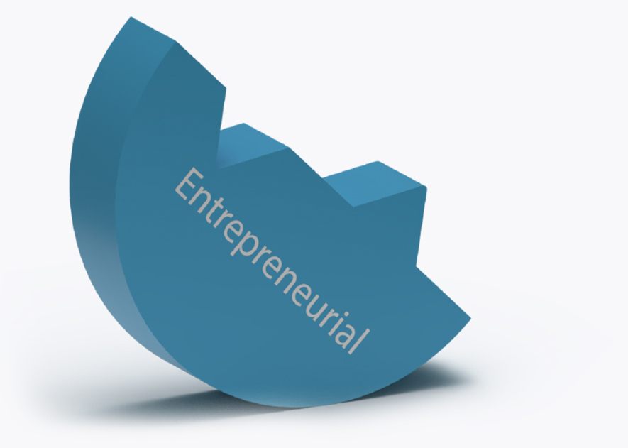 Entrepreneurial
thinking and acting